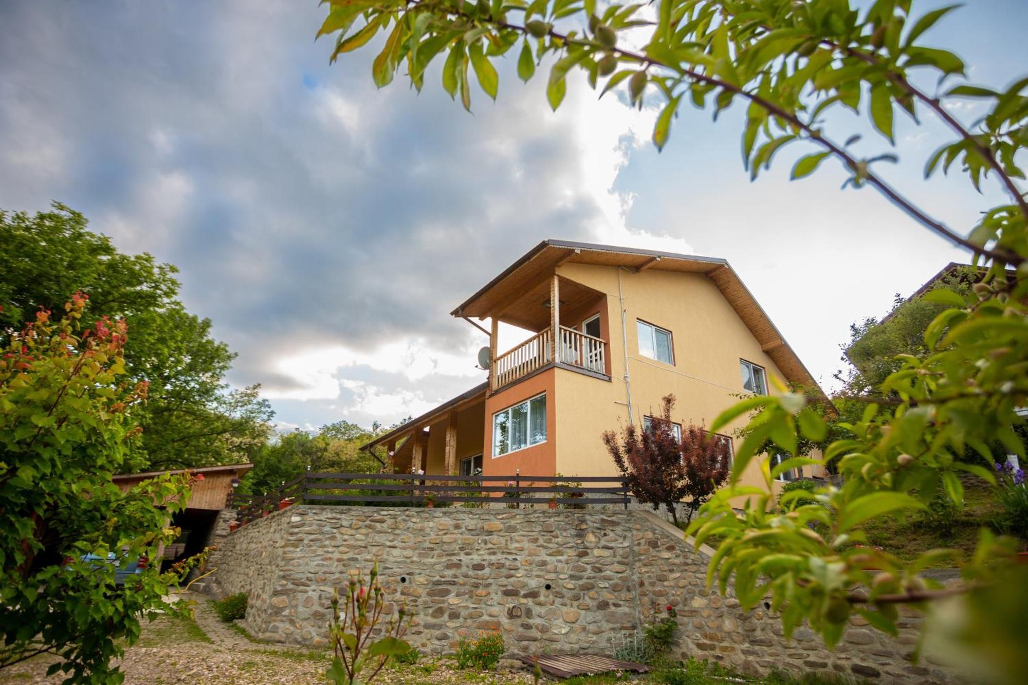 Casa Rumelia Paltineni Zewnętrze zdjęcie