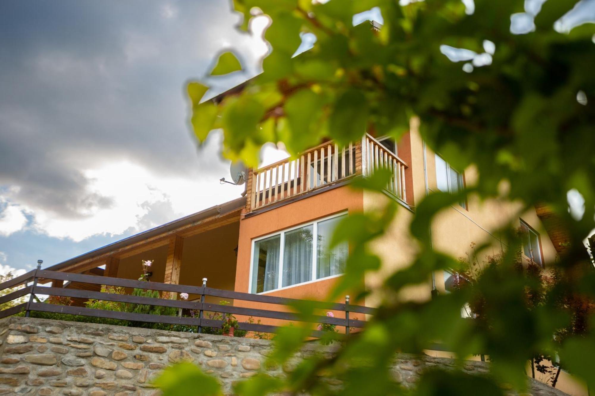 Casa Rumelia Paltineni Zewnętrze zdjęcie