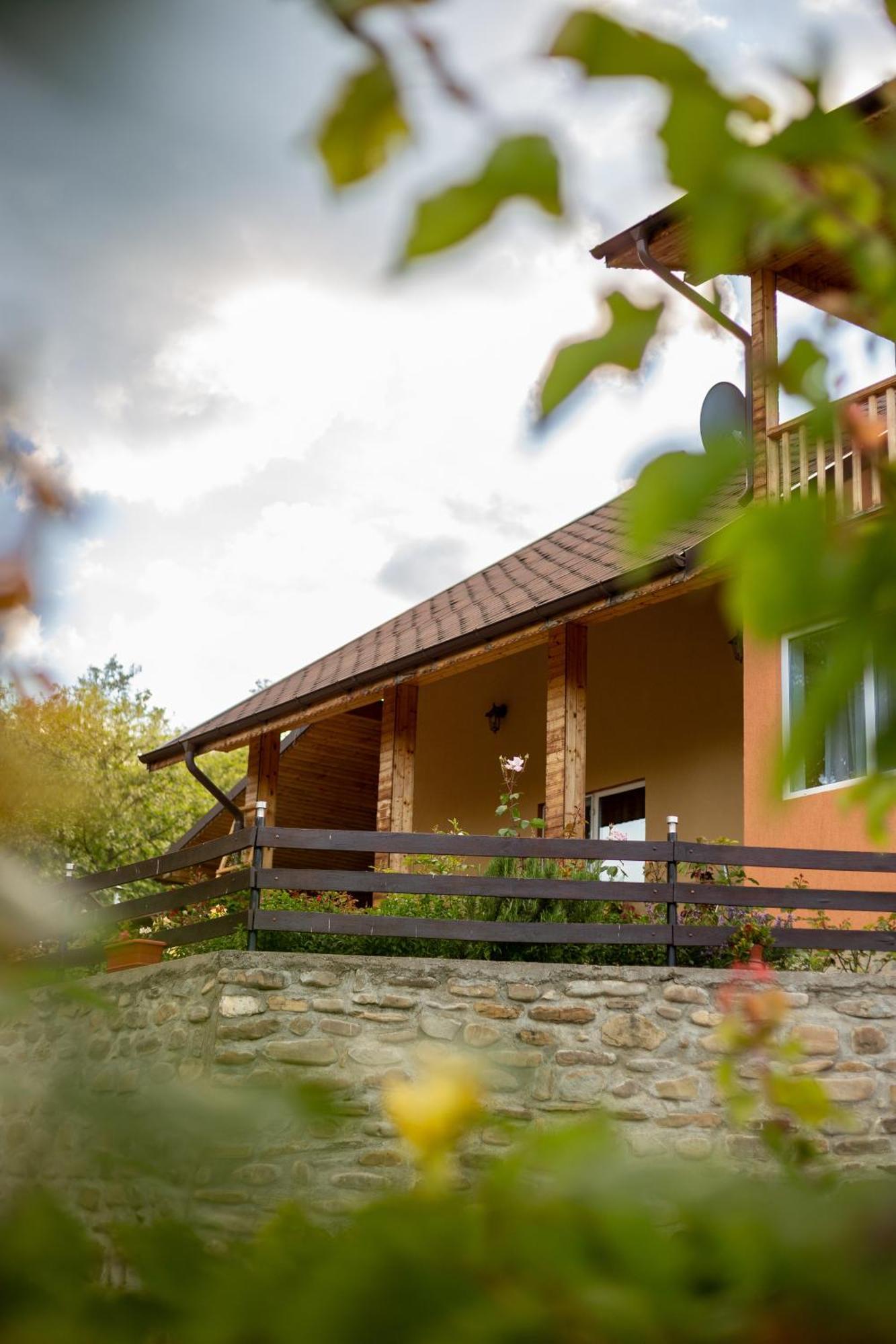 Casa Rumelia Paltineni Zewnętrze zdjęcie