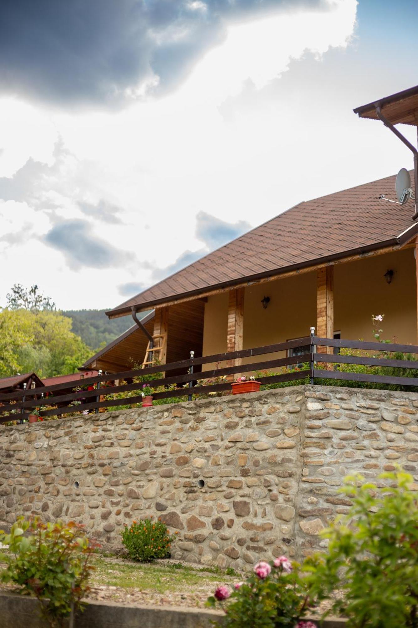 Casa Rumelia Paltineni Zewnętrze zdjęcie