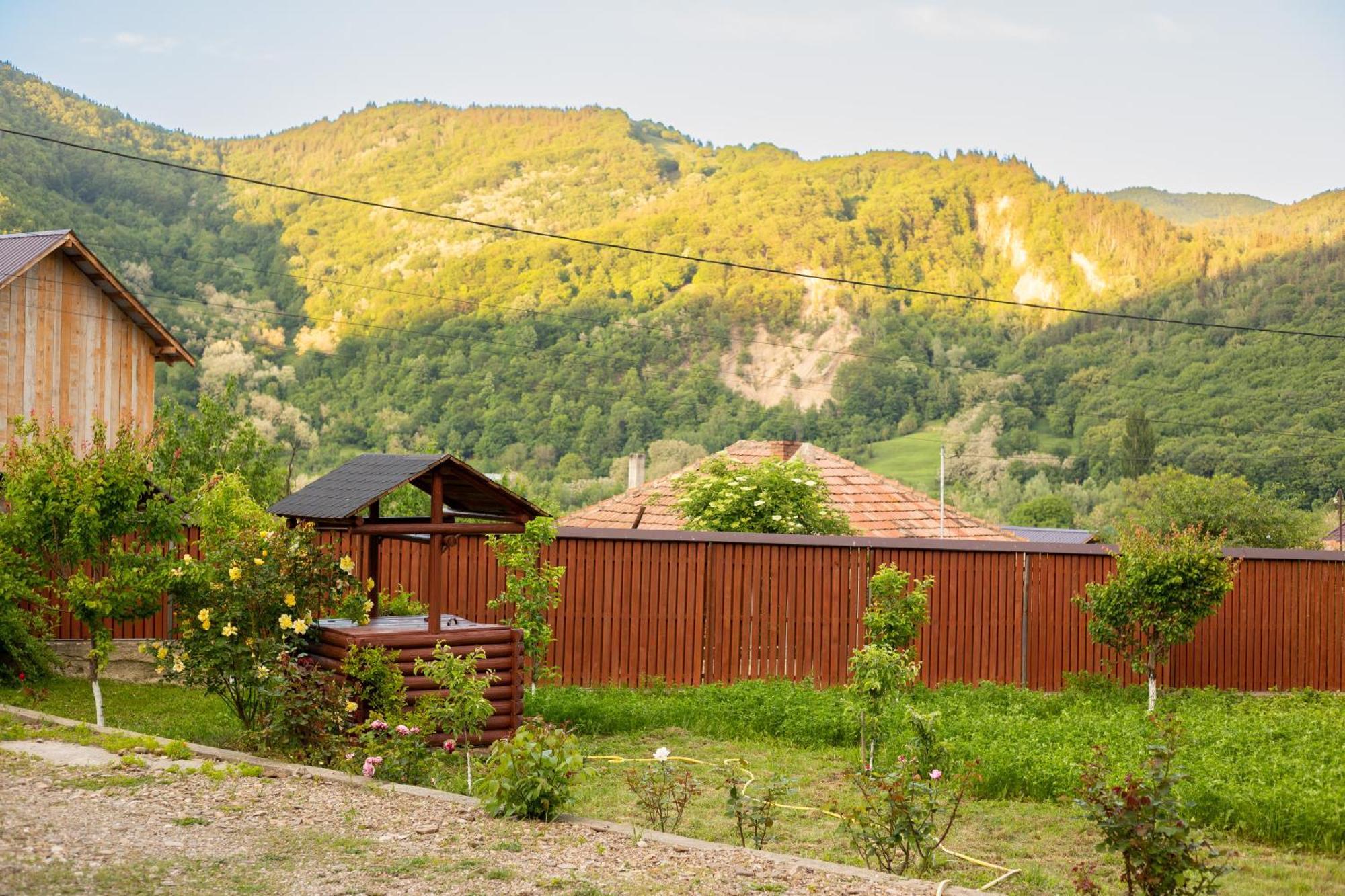 Casa Rumelia Paltineni Zewnętrze zdjęcie
